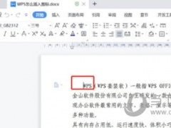 wps2019怎么插入图标 看完你就知道了
