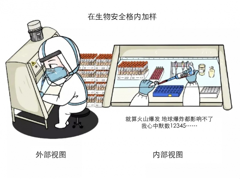 核酸检测是怎样的操作流程 看完这些你还会催核酸报告吗